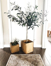 Load image into Gallery viewer, Modern Box Planter
